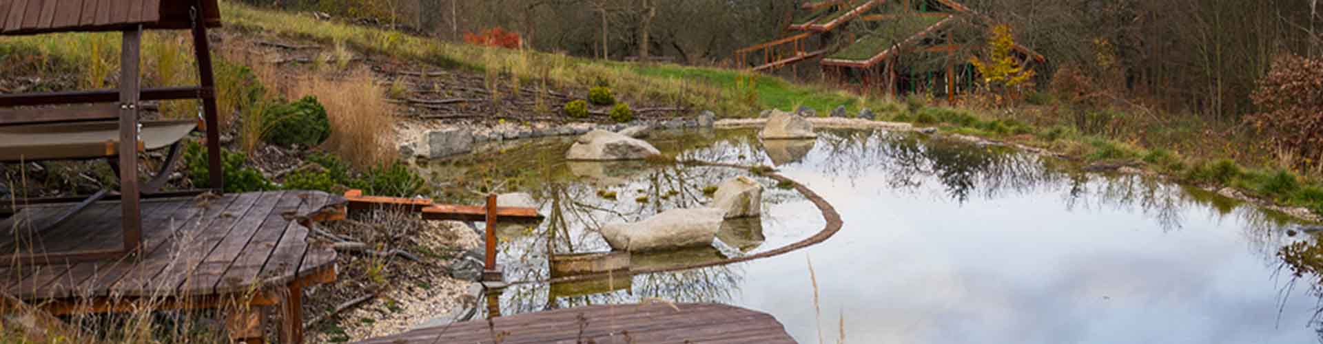 Schwimmteich naturnah anlegen: Planung & Pflege